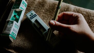 [Vidéo] Comment ouvrir une boutique en ligne de CBD légalement