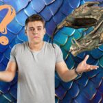 Guide Dragonflight Recrafting - canva